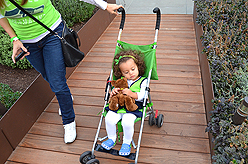 LADY 12 CELEBRITY FASHION SHOW